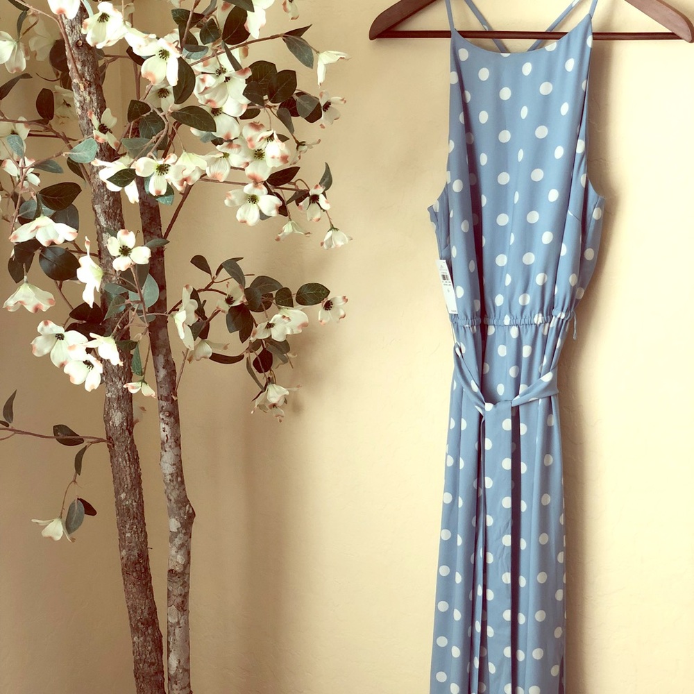 NWT Ann Taylor polka dot maxi dress